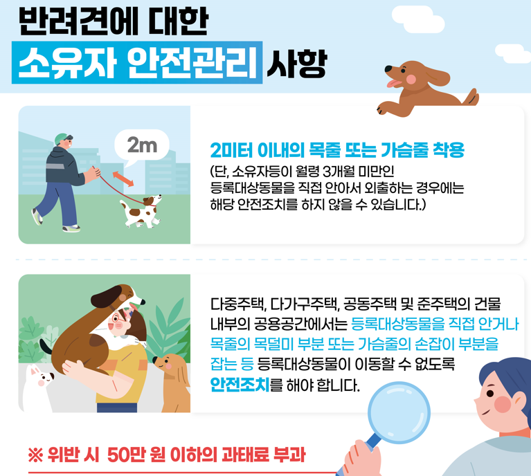 맹견사육허가제